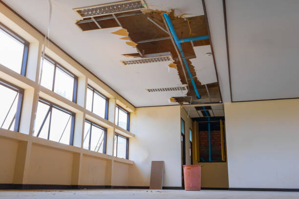 Best Water damage cleanup near me  in Icard, NC