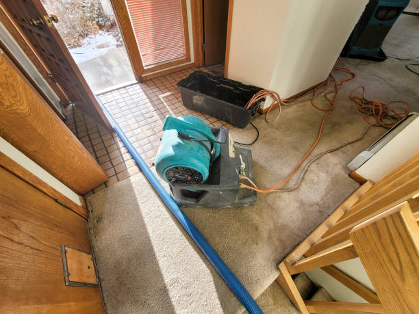 Best 24/7 water damage repair  in Icard, NC