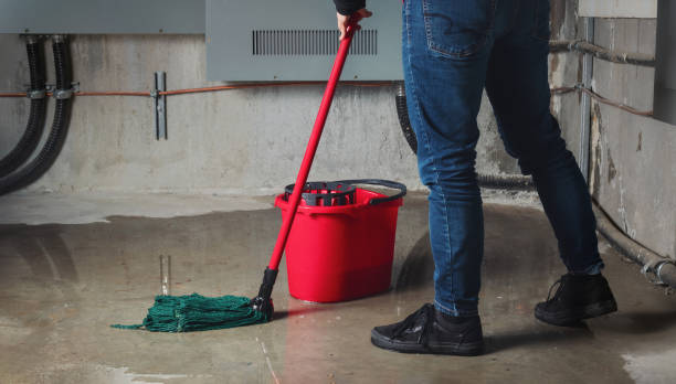 Best Water damage contractors near me  in Icard, NC