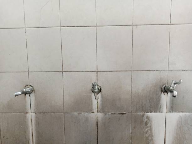 Best Ceiling water damage repair  in Icard, NC