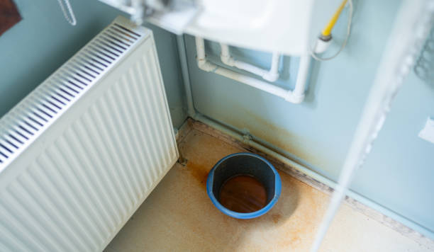 Best Professional water damage repair  in Icard, NC